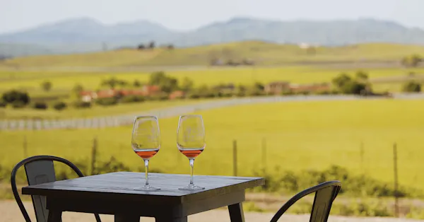 field, agriculture, plantation, barware, farm