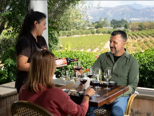 agriculture, leisure, vacation, wine tasting, plantation, wine glass