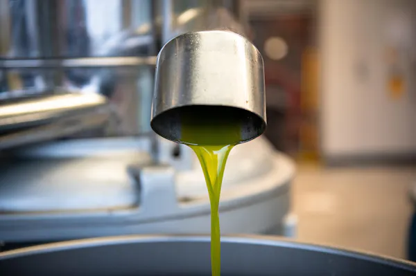 fluid, yellow, liquid, cooking oil, oil, olive oil