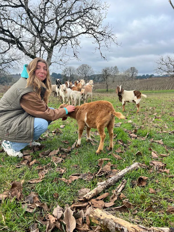 smile, goats, goat, livestock, pasture, people in nature