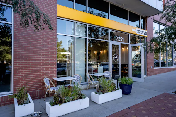 restaurant, glass, cafeteria, flowerpot, houseplant, chair