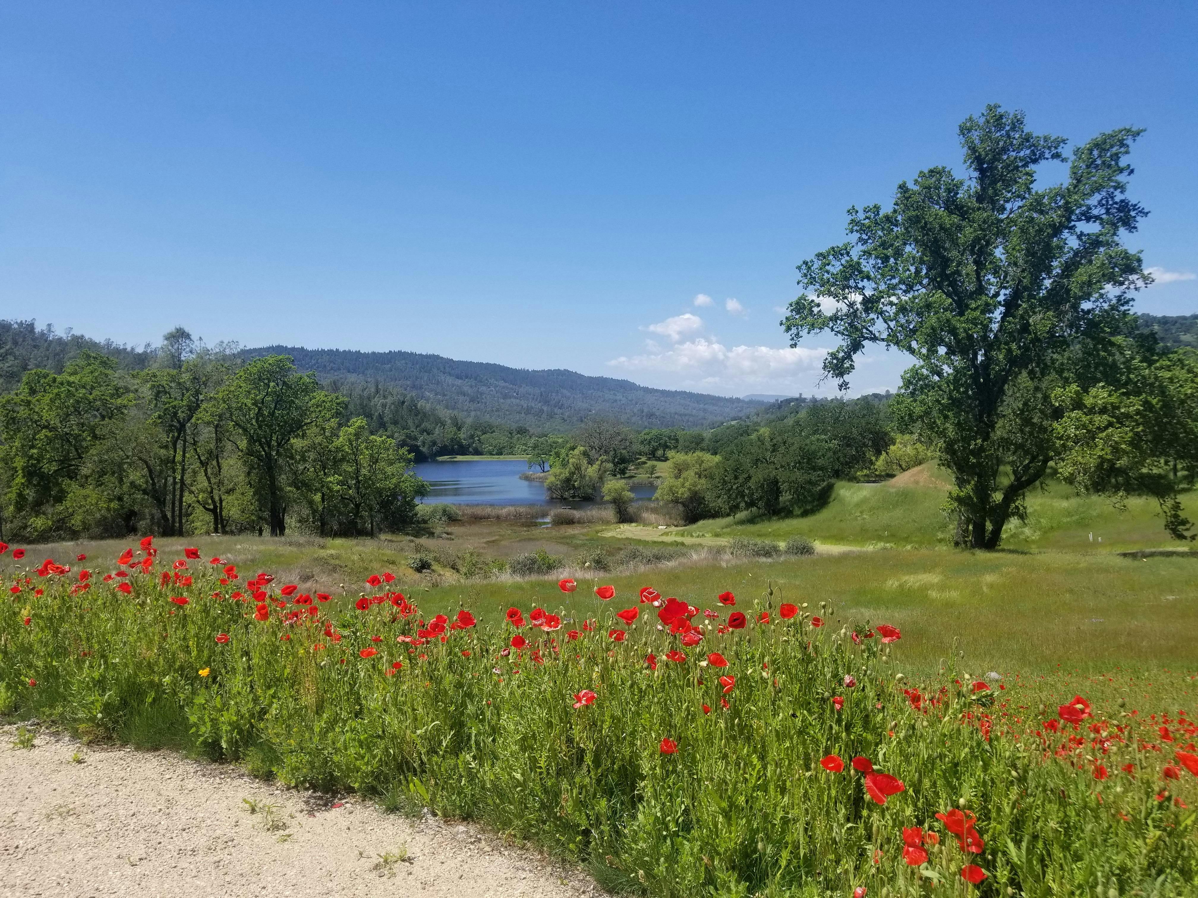 Maxville Winery