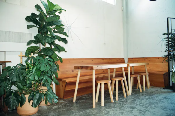 flowerpot, houseplant, hardwood, wood stain
