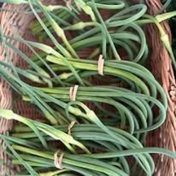produce, vegetable