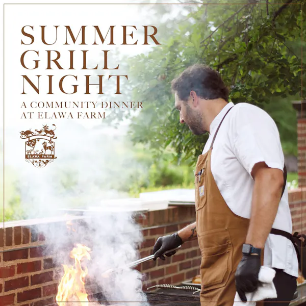 barbecue, cooking, cook, grilling, apron, chef