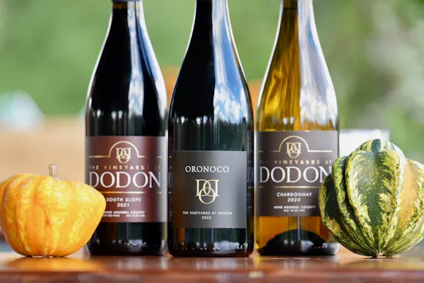 bottle, alcoholic drink, glass bottle, alcohol, liquor, wine