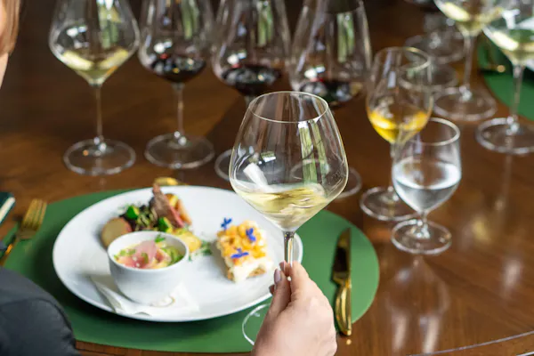 stemware, tableware, drinkware, wine glass, barware, glass