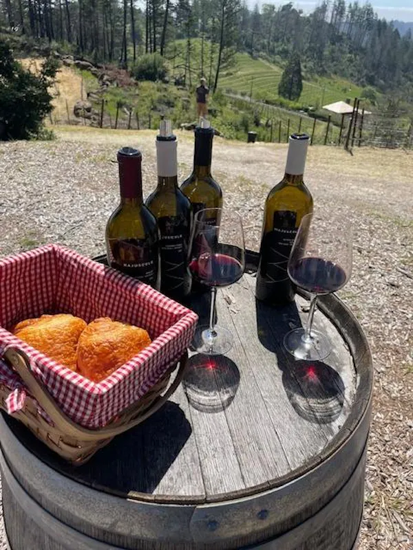 bottle, food, plant, wine, glass bottle, alcoholic beverage