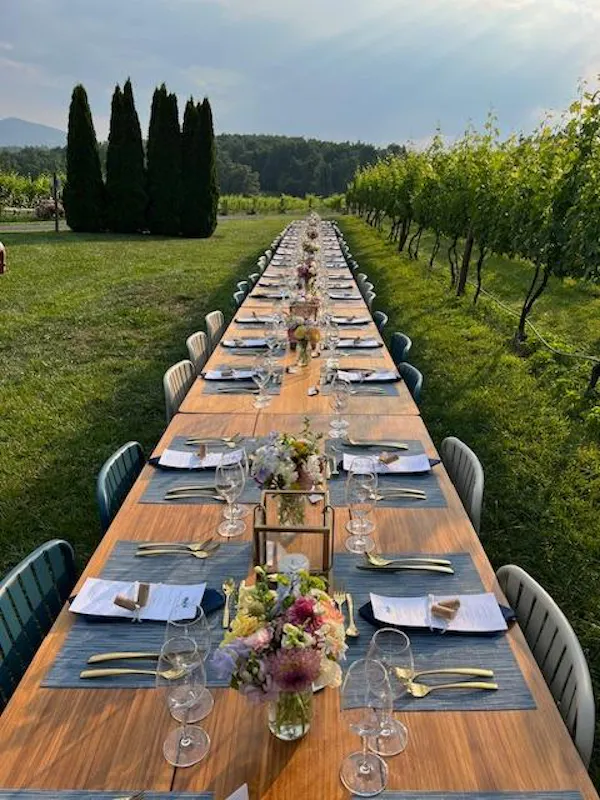 table, tableware, furniture, sky, cloud, plant