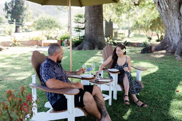 plant, furniture, table, botany, outdoor furniture, tableware