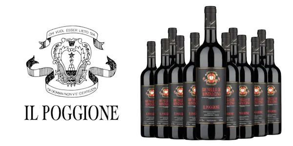 bottle, alcohol, alcoholic drink, glass bottle, wine, wine bottle