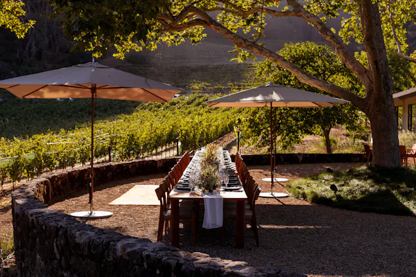 garden, shade, plantation, landscaping