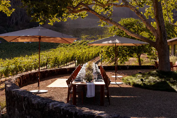 garden, shade, plantation, landscaping