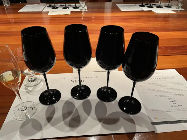 stemware, tableware, wine glass, drinkware, barware, champagne glass