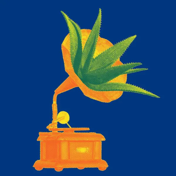 yellow, orange, graphics