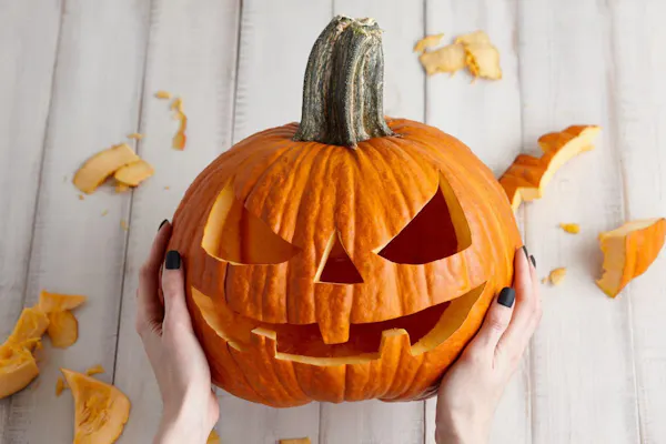 plant, pumpkin, calabaza, winter squash, orange, natural foods