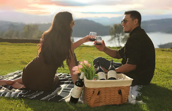 tableware, picnic, recreation, alcoholic drink, drinkware, leisure