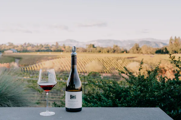 alcoholic drink, bottle, wine, glass bottle, wine bottle, agriculture