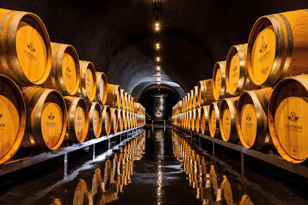 barrel, winery, light, wine cellar, yellow, mass production