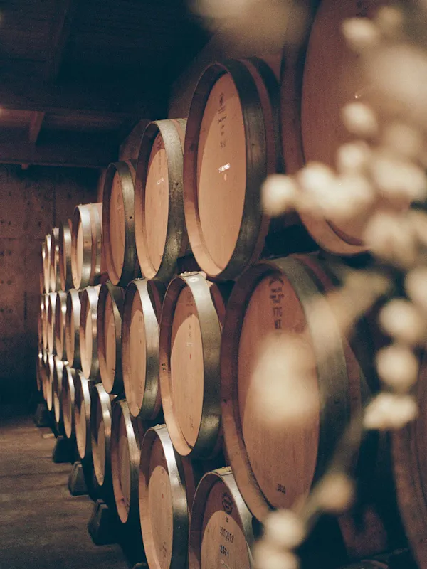 barrel, winery, wine cellar, inventory, hardwood, cylinder