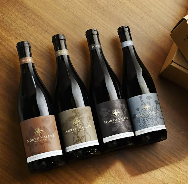 bottle, alcoholic drink, glass bottle, wine bottle, alcohol, wine