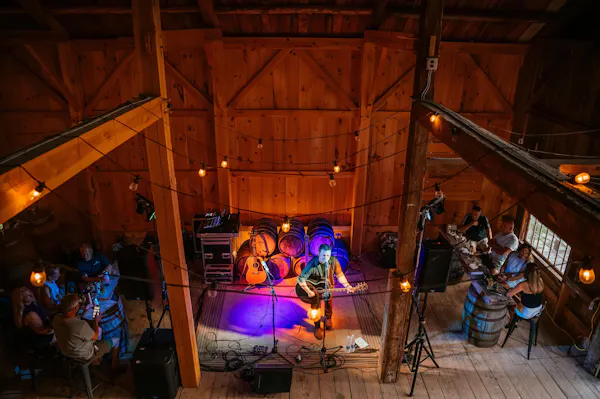 lighting, entertainment, musician, performing arts, musical instrument, performance