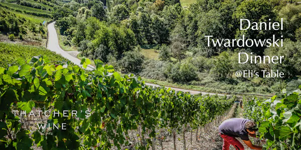 agriculture, plantation, hill station, vineyard, crop, field
