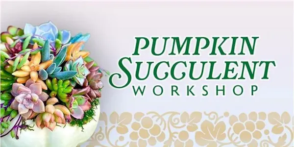 produce, natural foods, squash, floral design, cut flowers, flower arranging