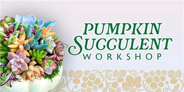 produce, natural foods, squash, floral design, cut flowers, flower arranging