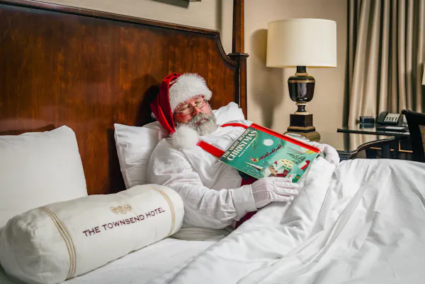 beard, facial hair, santa claus, fictional character, moustache, hat