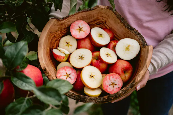 food, plant, ingredient, terrestrial plant, natural foods, fruit