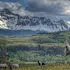 Telluride Sleighs and Wagons