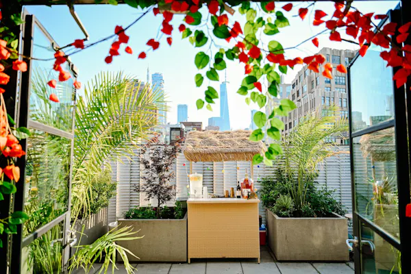 plant, property, sky, building, biome, line