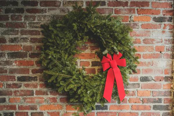 brick, brickwork, plant, wreath, grass, vegetation