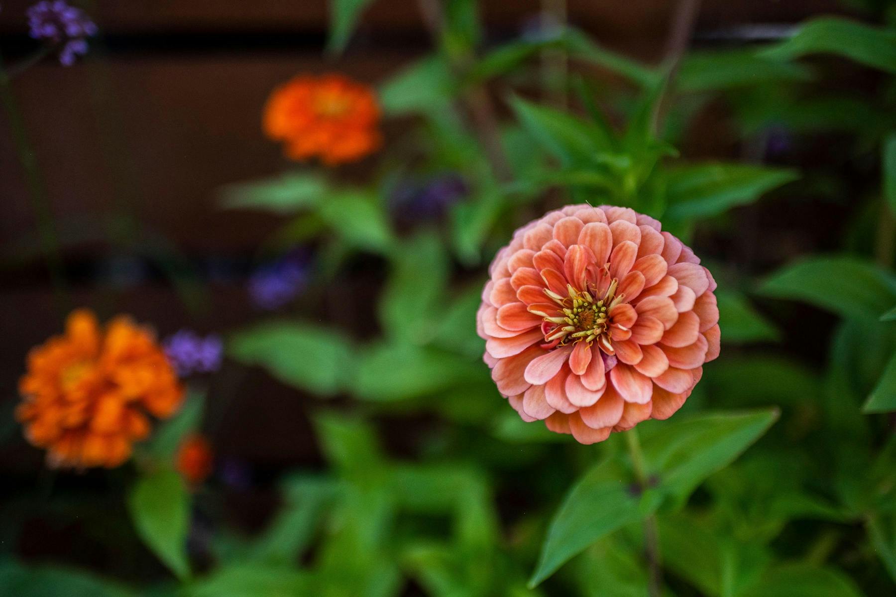 Table X Salt Lake City, UT Tock