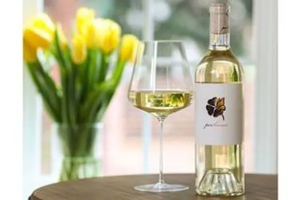 tableware, drinkware, stemware, bottle, liquid, wine glass