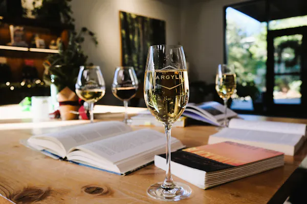 tableware, stemware, drinkware, wine glass, barware, champagne glass