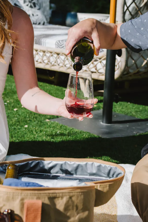 bottle, food, alcoholic drink, fruit, picnic, drinkware