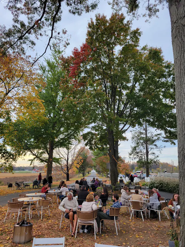 leaf, furniture, recreation, outdoor furniture, outdoor table, chair