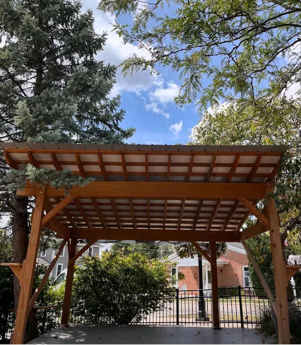 sky, cloud, plant, shade, tree, wood