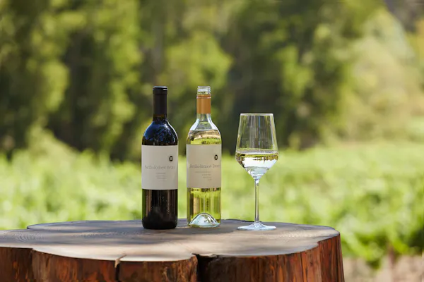 tableware, drinkware, bottle, liquid, wine, wine glass