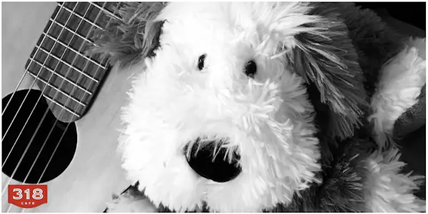 chordophone, stuffed toy, toy, guitar, dog, snout