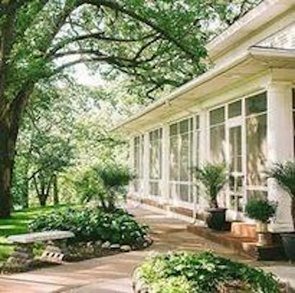 plants, shrub, garden, shade, spring, lawn