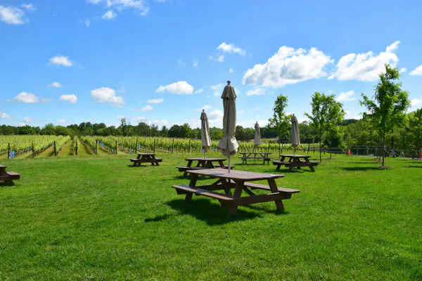 cloud, sky, plant, outdoor bench, table, picnic table