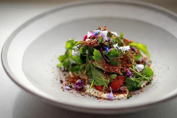 food, tableware, ingredient, leaf vegetable, dishware, culinary arts