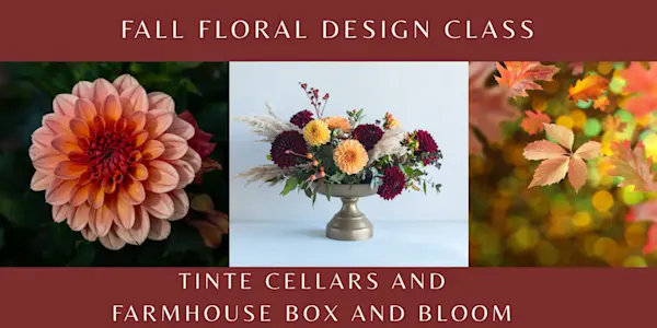 flower, petal, floristry, cut flowers, flower bouquet, flower arranging