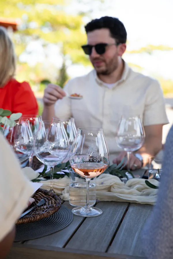 stemware, tableware, drinkware, wine glass, barware, table