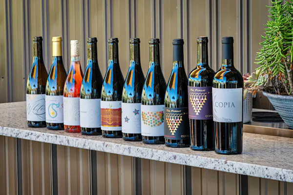 bottle, alcoholic drink, glass bottle, wine bottle, alcohol, liquor