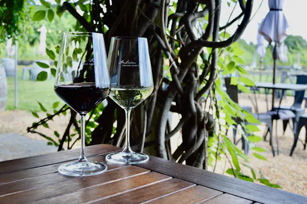tableware, stemware, drinkware, table, furniture, wine glass