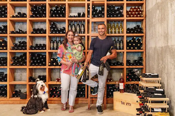 wine cellar, winery, wine rack, shelf, shelving, fun